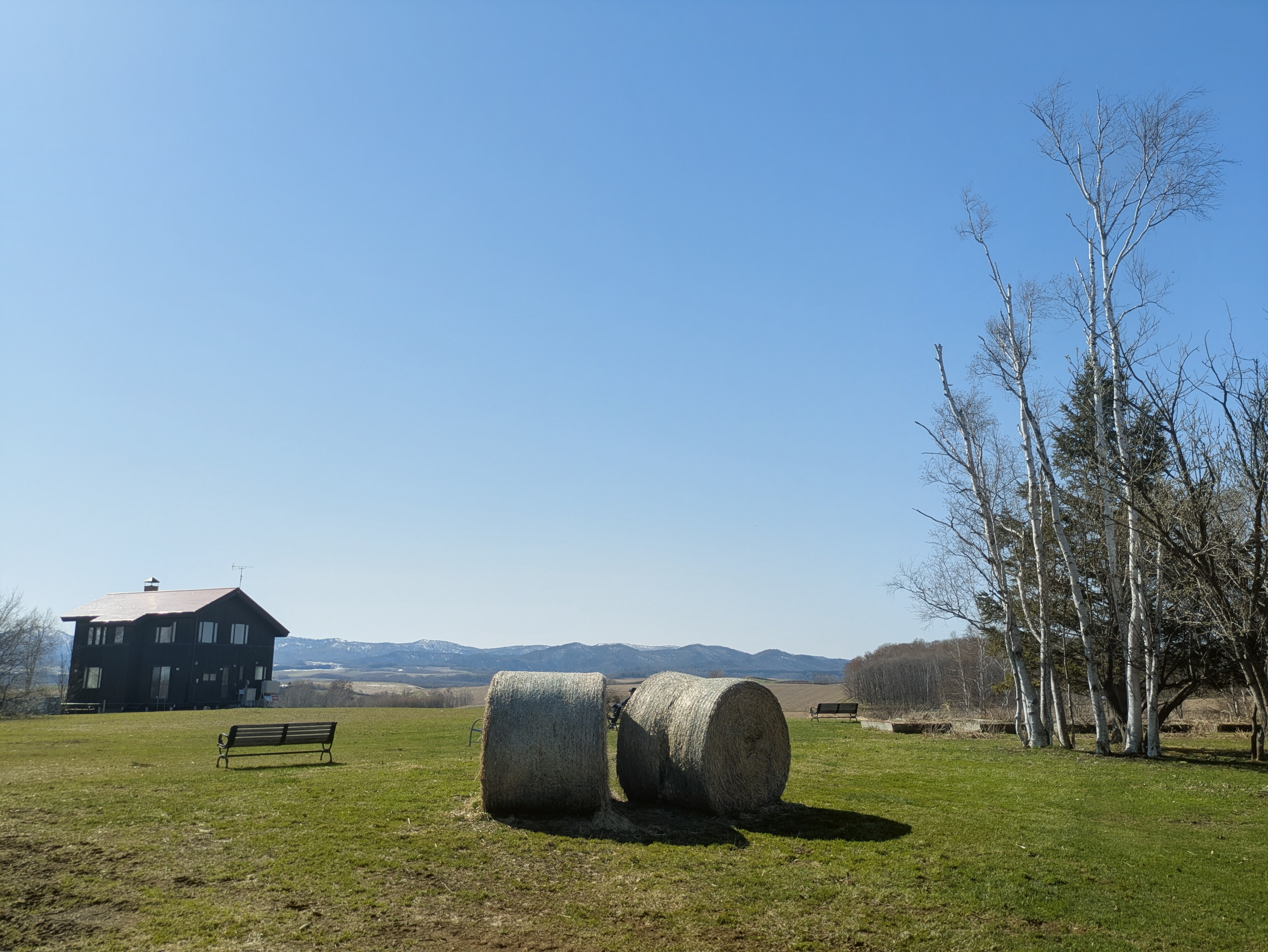 美瑛で人気のレストラン「フェルムラテール美瑛」｜絶景ランチ・お土産スイーツ・映画ロケ地も満喫！